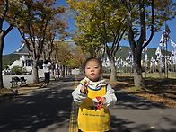 단풍나무길을 찾아가요~