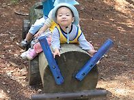 숲체험:나무조형물에서 놀..
