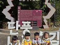 단풍나무길에 도착했어요~