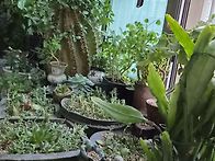다시 일상속으로~~