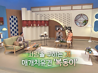 KBS 1TV 아침마당 방송영..