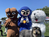 제22회 경산어린이날큰잔치..