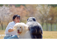 경산시 봄 관광 홍보 영상