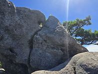 산사랑대야산산행