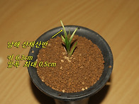 [품절]여름 산채 남해 입..