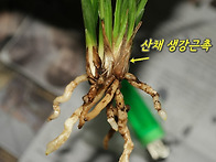 자원환경 환엽 기록