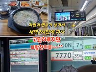 1톤바가지는 전문가에게 ..