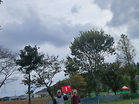 25년 10월 19일 일요일 고..