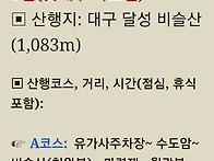 대구 비슬산 참꽃(2019년..