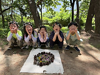 느티나무 선생님과 감꽃열매, 5월 숲 생일..