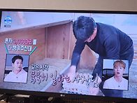나혼자산다 강사님 출연 ..