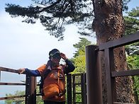 대관령 명품숲 트레킹 좋은..