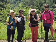 어깨산