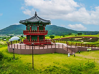 조문국 작약