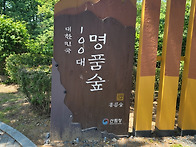 홍릉숲 트레킹사진 26/5..