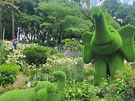 초안산 수국동산 트레킹 ..