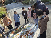 즐거운 숲활동^^