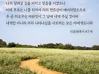 2025_08_01 (금) 싸우고..