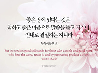 2025_08_03 (주) 목사의..