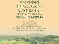 2026_08_12 (수) 매이지..
