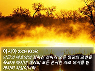 2026_08_10 (월) 이런 ..