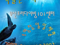 부산프리다이빙 교육