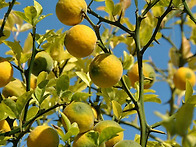 ＜임경미 선생님의 토닥토..