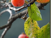 ＜임경미 선생님의 토닥토..
