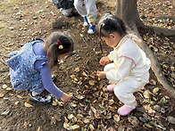 [10월3주] 고운반 바깥놀이..
