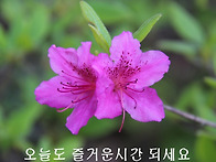 세량지에서