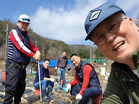 감자 수확하는 날