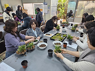 난초류 미니정원