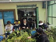 성지 가지 준비 ..