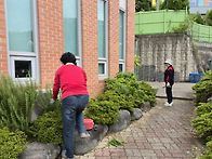 본당 화단 제초 작업 (울..