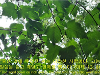 2026년 7월 24..