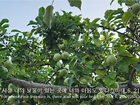 2026년 6월 19..