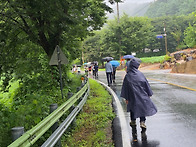 20260816 내리계곡(영월군..