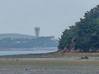 원산도(보령)-26..