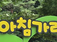 아침가리골 트레킹