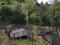 (양평 맑은숲 캠핑장) 7..