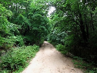 (우중 우이령 왕복트레킹)..