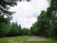 (포천 캠프운악) 6월 25..