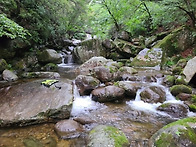 (단양 다리안 캠핑 & 소백..