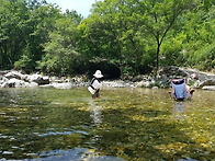 (가평 용추계곡) 6월 23..