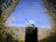 25년11월18일(화)파종 마..