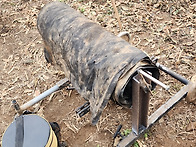 25년11월30일(일) 사과나..