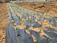 26년3월22일(일) 2번째 ..