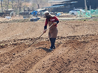 26년3월28일(토) 29일(..