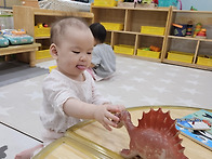 4월 5주 자유놀이 / 놀이..