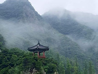 마음,자아형성 성장.관찰이..